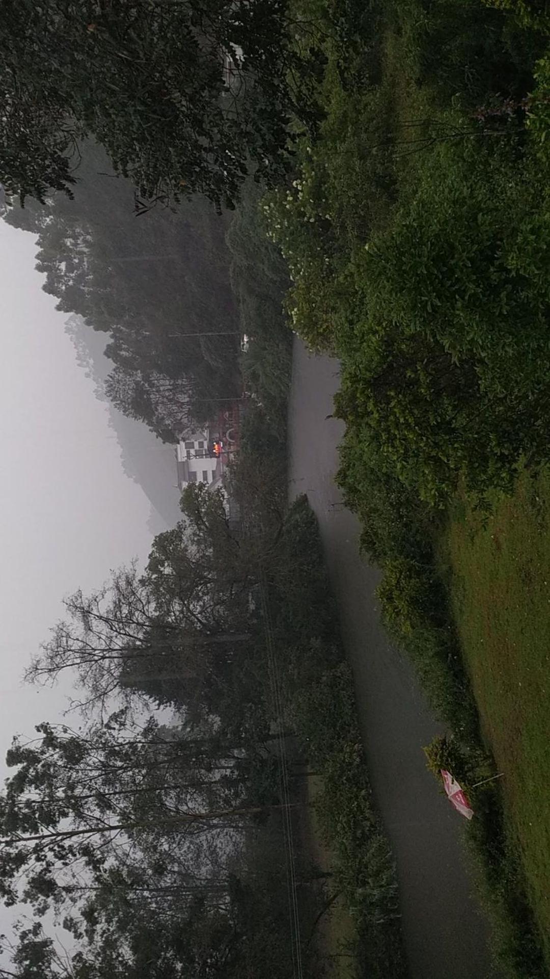 Sisiram River Side Munnar Exterior foto
